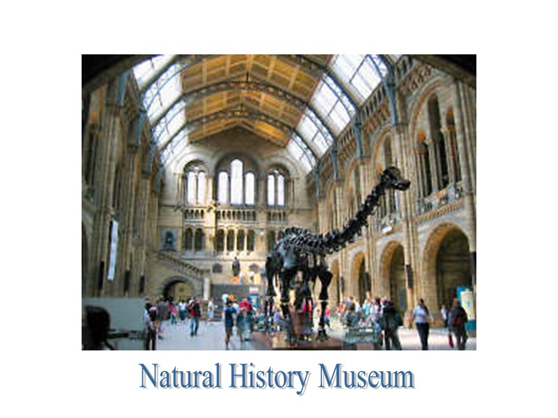 Natural History Museum